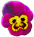 <img:stuff/PinkPansyBullet.png>