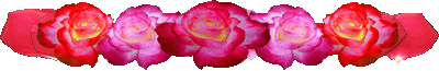 <img:stuff/PinkRedRosesDivLg.gif>