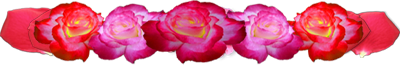 <img:stuff/PinkRedRosesDivLg.png>