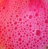 <img0*100:stuff/Pink_Foam_Stock_1_by_Sequeena_stock.jpg>