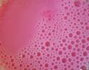 <img0*100:stuff/Pink_Foam_Stock_2_by_Sequeena_stock.jpg>