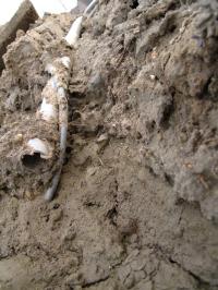 <img200*0:stuff/Pipes_II.jpg>