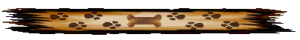 <img300*0:stuff/PlqDivPawPrint.psd.gif>