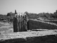 <img200*0:stuff/PompeiFence.jpg>