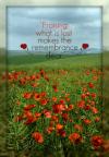 <img100*0:stuff/Poppy_Field_Remembrance.jpg>