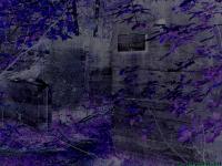 <img200*0:stuff/Potato%20House.jpg>