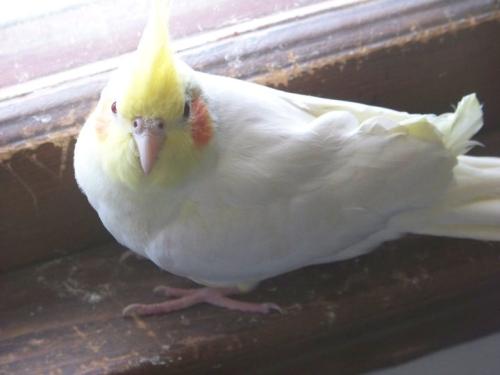 <img500*375:stuff/Princess_%3a%28_R.I.P._baby.....jpg>