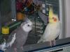 Princess_and_Angel