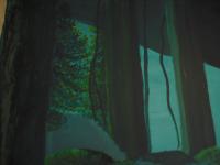 <img200*0:stuff/ProjectForestWall8.jpg>