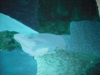 <img200*0:stuff/ProjectForrestWall5.jpg>