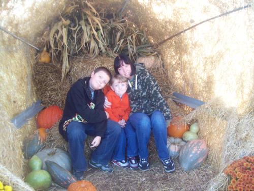<img500*375:stuff/Pumpkin_Patch.jpg>
