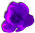 <img:stuff/PurpDahBullet.png>