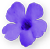 <img:stuff/PurpFlwrBullet.png>