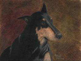 <img0*200:stuff/Queenie1.jpg>