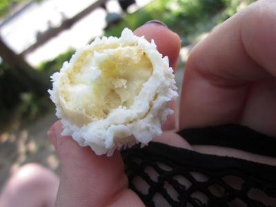 <img0*300:stuff/Rafaello_Half.jpg>