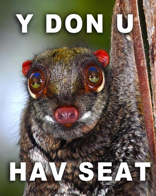 <img0*625:stuff/Rah.jpg>