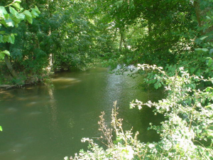 <img:stuff/Rain%2bwaters1.bmp.jpg>