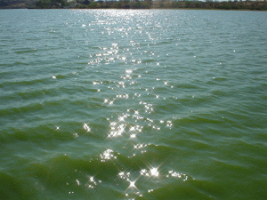 <img:stuff/Rain%2bwaters3.bmp.jpg>
