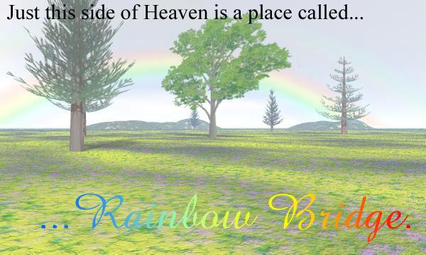 <img:stuff/Rainbow_Bridge.jpg>