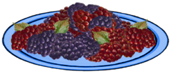 <img:stuff/Raspberries-RednBlkOnPlate.png>