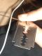 <img60*0:stuff/Razorblades%26Music.jpg>