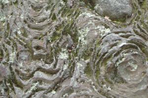 <img300*0:stuff/Really_cool_design_in_the_rock.jpg>