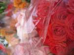 <img150*0:stuff/RedRoses.jpg>