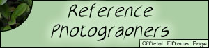 <img:stuff/Reference_Photographers.jpg>