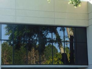 <img300*0:stuff/Reflection_in_library_window..jpg>