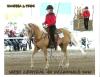 Regionals_2010