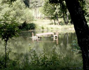 <img300*0:stuff/RiverMeetingPlace.gif>