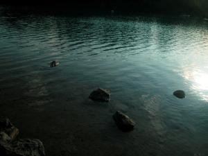 <img300*0:stuff/Rocks....jpg>
