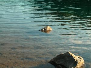 <img300*0:stuff/Rocks.jpg>