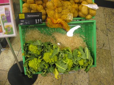<img0*300:stuff/Romanesco_broccoli__Roman_cauliflower.jpg>