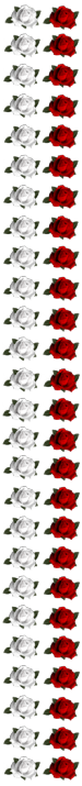 <img0*715:http://elftown.heddate.com/stuff/RoseBorder-revByArtsie_ladie.png>