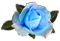 <img:stuff/RoseBulletLtBlue.png.jpg>