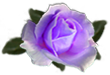 <img:stuff/RoseLav.png.jpg>