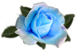 <img:stuff/RoseLtBlue.png.jpg>