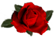 <img:stuff/RoseRed.png.jpg>