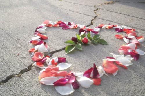 Rose_heart