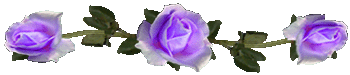 <img:stuff/RosesDividerLav.gif>