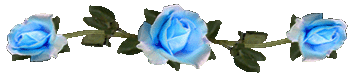 <img:stuff/RosesDividerLtBlue.gif>