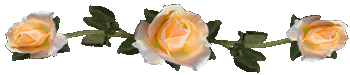 <img:stuff/RosesDividerOrPeach.gif>