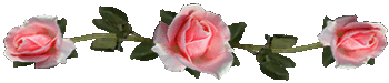 <img:stuff/RosesDividerPeach.gif>