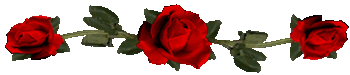 <img:stuff/RosesDividerRed.gif>