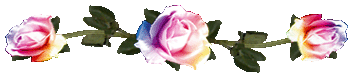 <img:stuff/RosesDividerVary.gif>