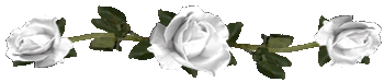 <img:stuff/RosesDividerWhite.gif>