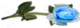 <img:stuff/RosesRightLtBlue.png.jpg>