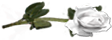 <img:stuff/RosesRightWhite.png.jpg>