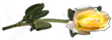 <img:stuff/RosesRightYel.png.jpg>